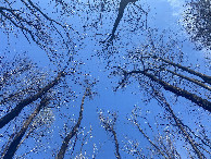 #9: Sky over the confluence point. 