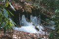 #3: Ice buildup around a spring close to the confluence