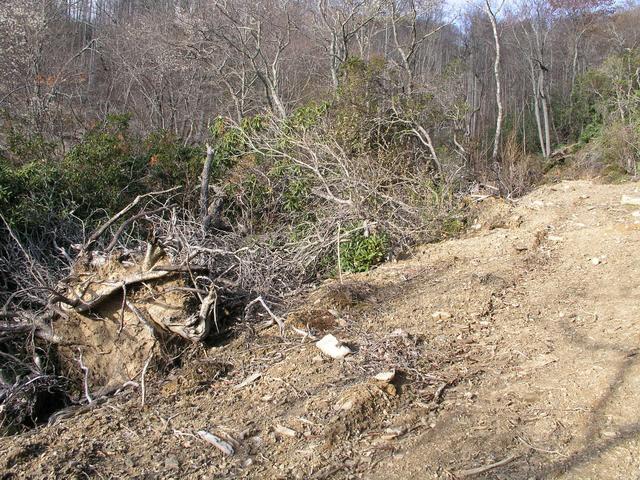 Somewhere under this cover of impenetrable slash bulldozed downhill from this road cut sits 36N 82W.