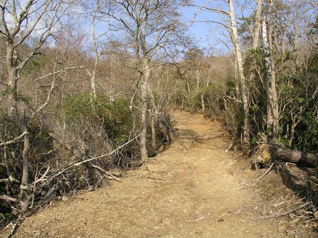 Walking uphill on this new road cut would bring you to within 20 feet of this cp.