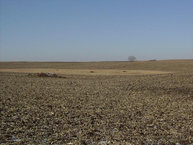 The Confluence - Just to the right of the rock pile.