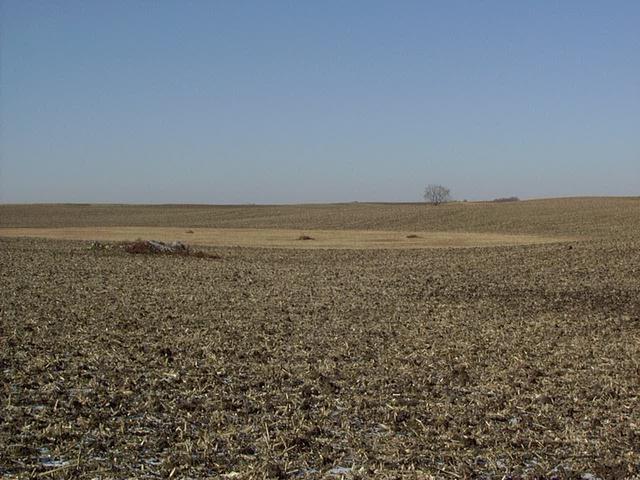 The Confluence - Just to the right of the rock pile.