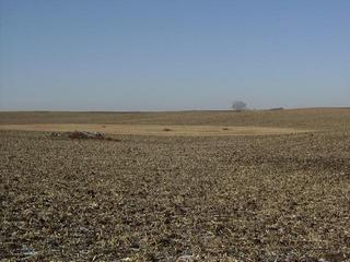 #1: The Confluence - Just to the right of the rock pile.