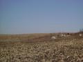 #2: Standing on the Confluence Looking North