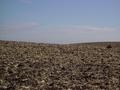 #4: Standing on the Confluence Looking East