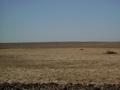 #5: Standing on the Confluence Looking West