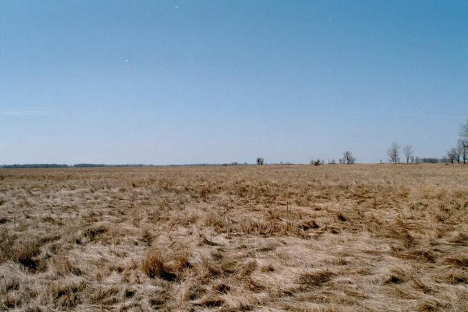 looking south from confluence