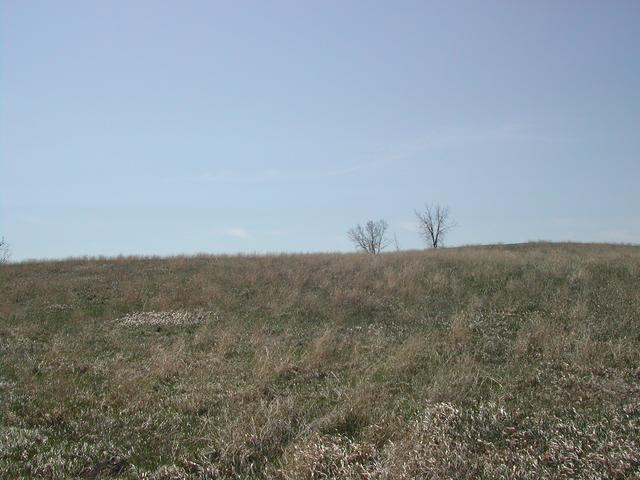 South