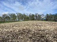#3: View to the east from the confluence point. 