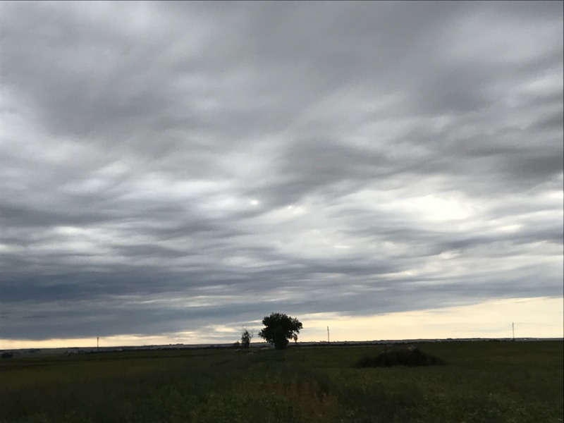 View to the west from the confluence point with the sky and lone tree.