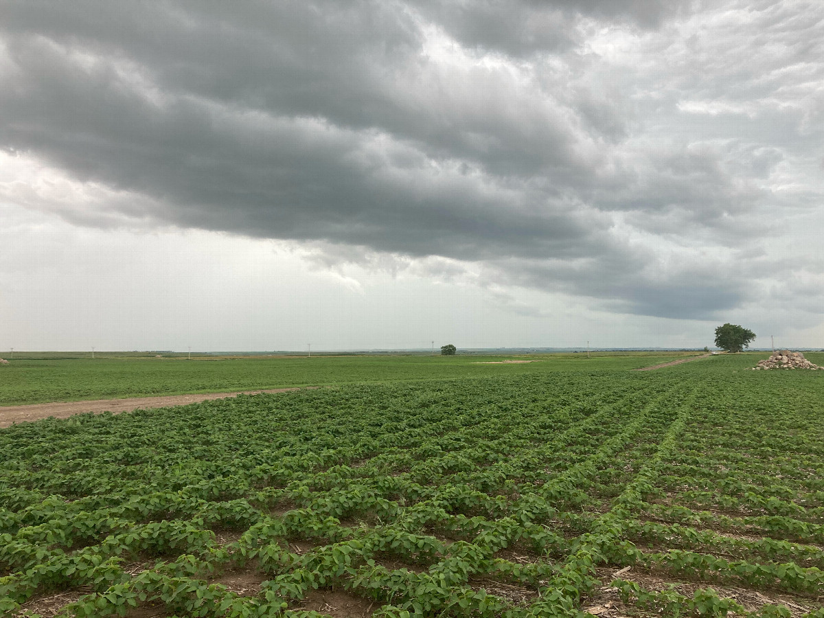 Looking southwest at 46N 100W, located in the foreground, ahead of an approaching thundershower