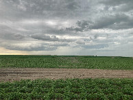 #4: Looking south, at the dirt path