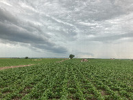 #5: Looking west