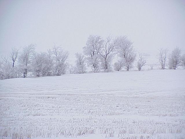 Confluence site, looking southwest.