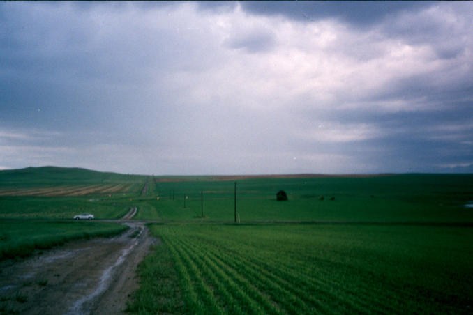 section line road we travelled by foot, view is to the south