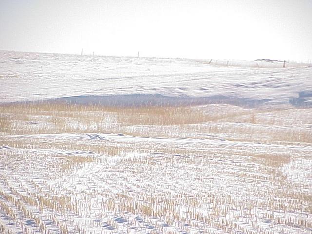 View to the southeast from the confluence, in the foreground.