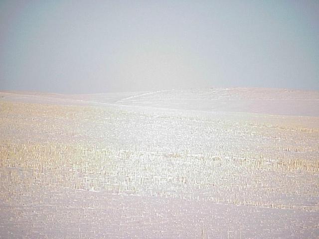 View to the north from the confluence.