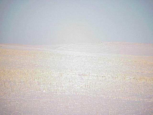 View to the north from the confluence.