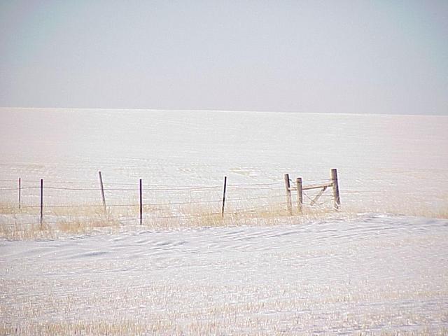 View to the southwest from the confluence site.