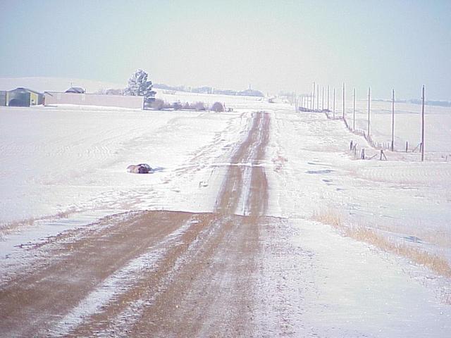 View of the farmhouse nearest the confluence, from 2nd Avenue Southwest.  The farmhouse is 1.8 km southwest of the confluence.