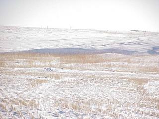 #1: View to the southeast from the confluence, in the foreground.