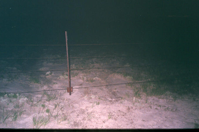 One of three fences we crossed