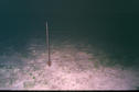 #6: One of three fences we crossed