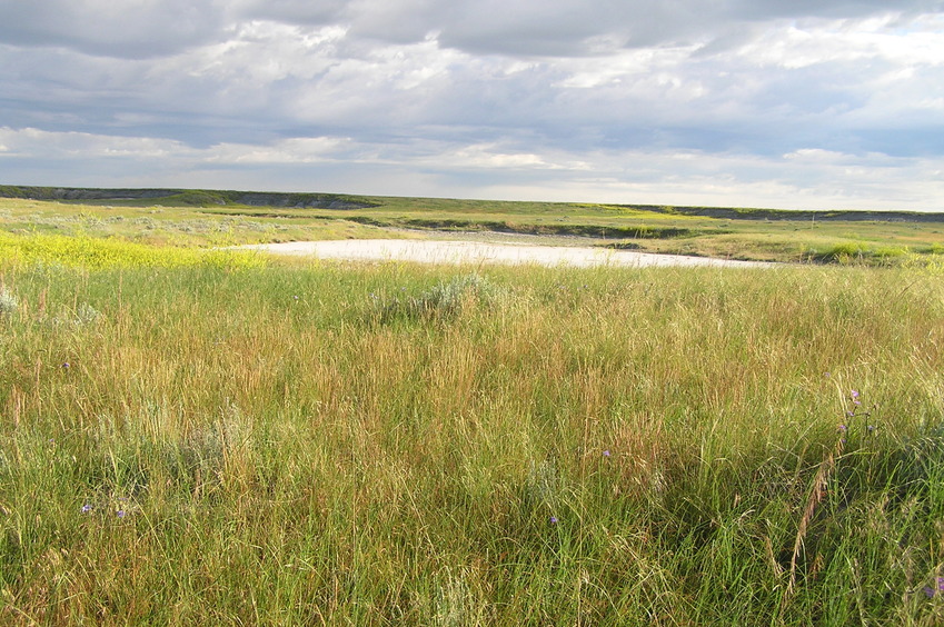 View to the north from the confluence.