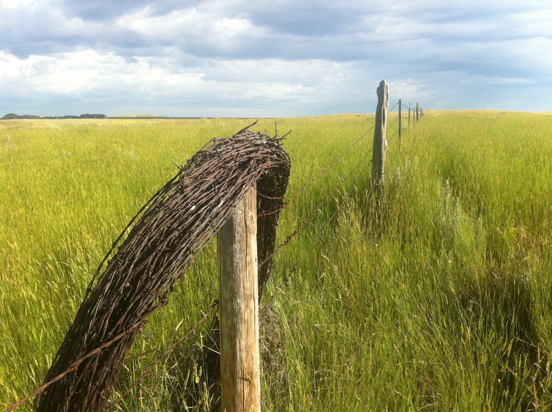 Scenic view, about 500 meters southeast of the confluence, looking north.