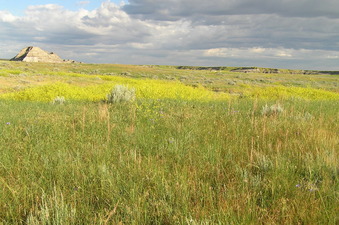 #1: Magnificent site of 46 North 104 West, in the foreground, looking northwest.