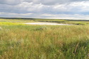 #4: View to the north from the confluence.