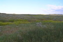 #7: View to the west from the confluence point:  Montana that way.