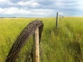 #8: Scenic view, about 500 meters southeast of the confluence, looking north.