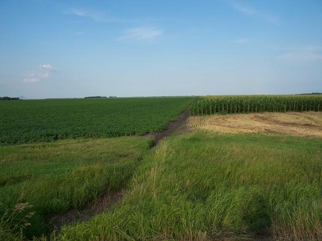 Overview from about 500 meters.