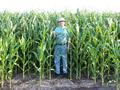 #9: Alan in the corn.