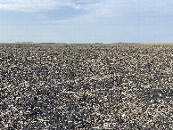 #4: The view to the south from the confluence point.