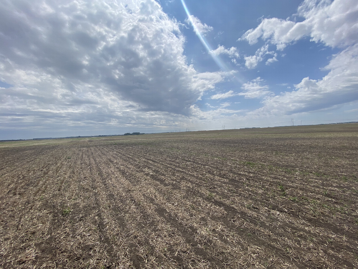 The confluence field… From the nearest road which is to the west of the point, looking south east.