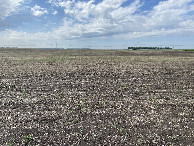 #4: The view to the south from the confluence point.