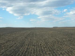 #1: View to the North