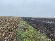 #3: View to the east from the confluence point. 