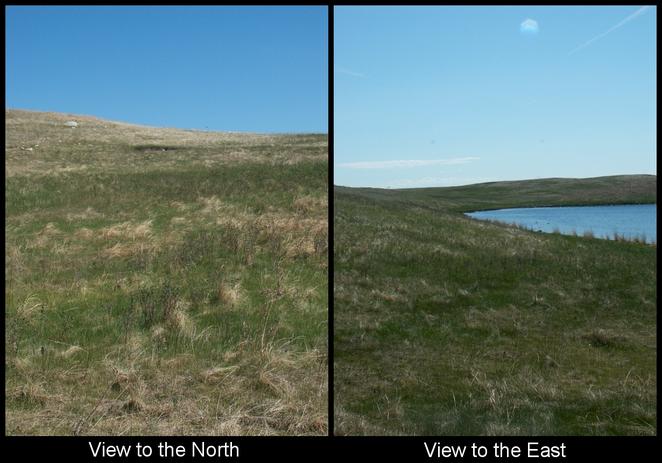 North and East Views