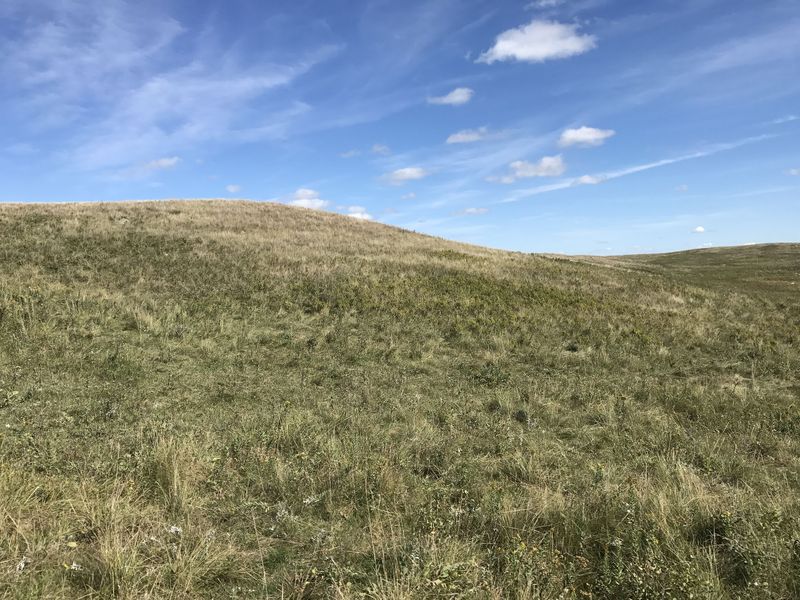 View to the east from the confluence point.