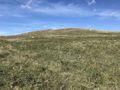 #3: View to the north from the confluence point. 