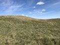 #4: View to the east from the confluence point.