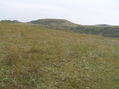 #4: View to the east from the confluence point.