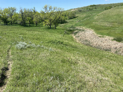 #1: Looking south southeast, the confluence point is just to the right of this trail.