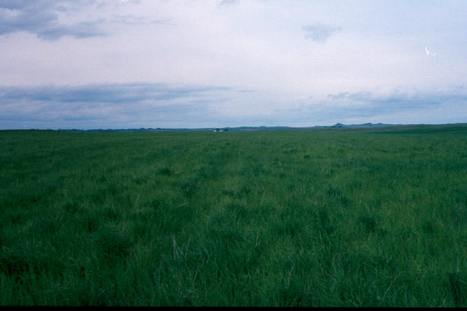 Looking to the east from the confluence