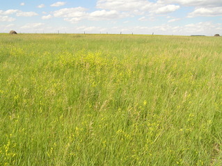 #1: Site of 47 North 104 West in the foreground, looking north.