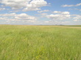 #4: View to the east from the confluence.