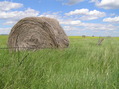 #8: Hay bale view 80 meters northwest of the confluence point, looking east.